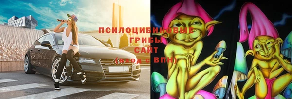 Альфа ПВП Бугульма