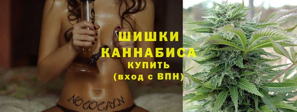 mix Бородино