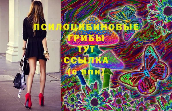 Альфа ПВП Бугульма