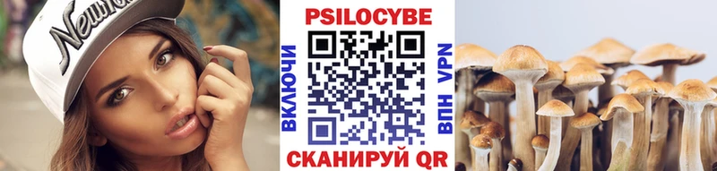 Псилоцибиновые грибы прущие грибы Сыктывкар